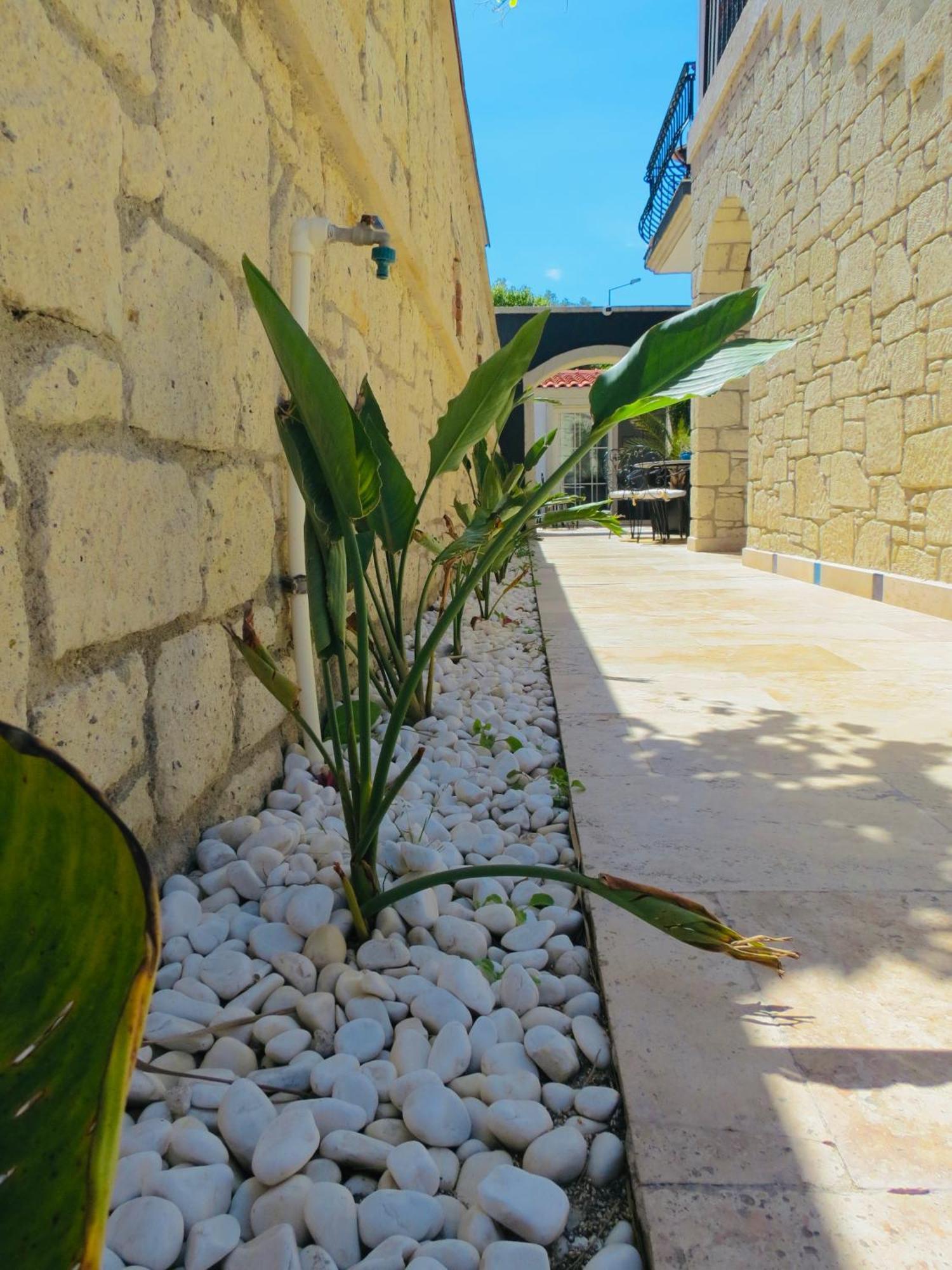 Fedora Otel Алачати Екстер'єр фото